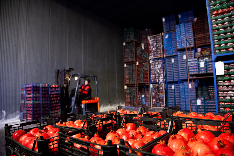 سردخانه میوه جات و سبزیجات