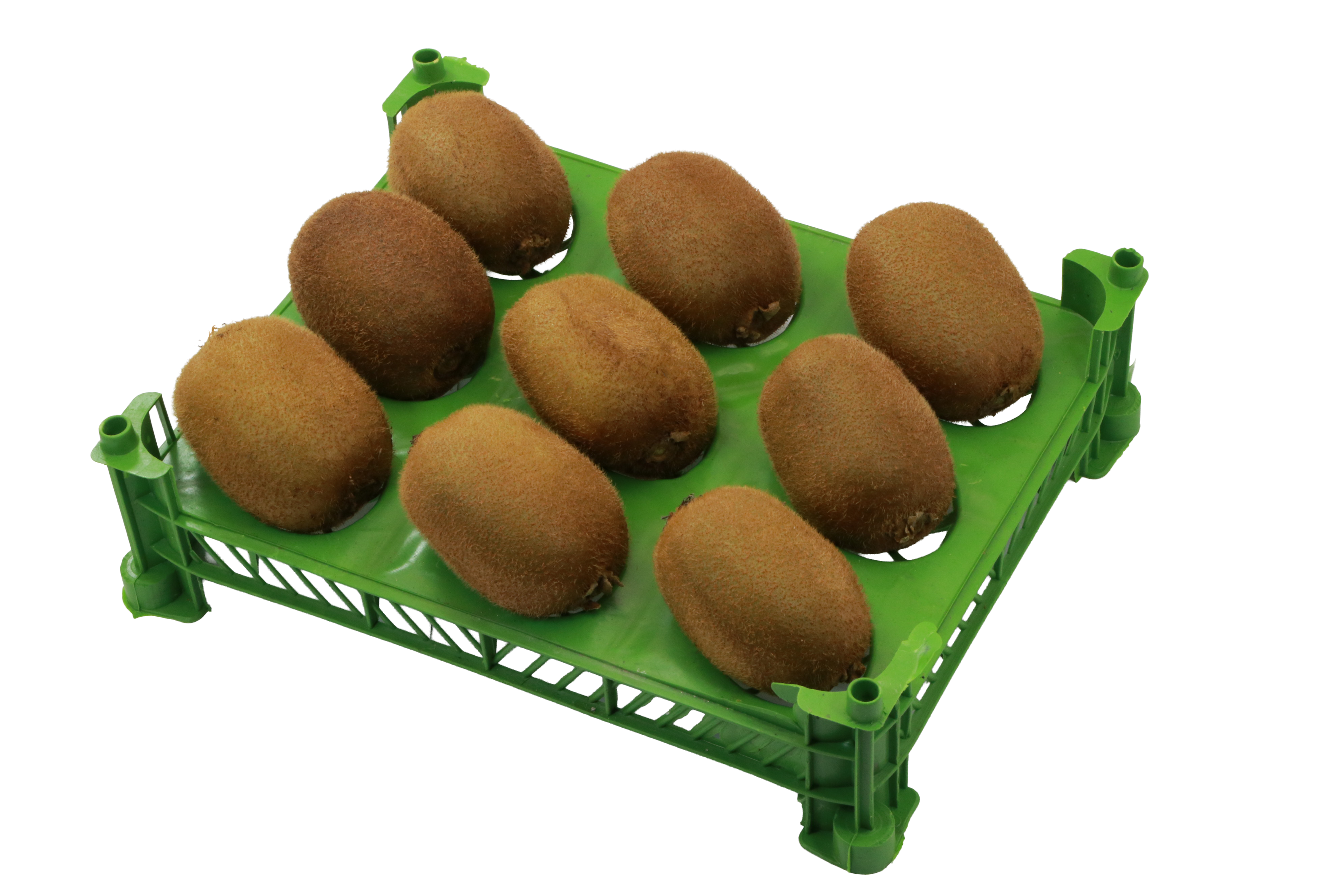 کیوی تک ردیف 12 تایی